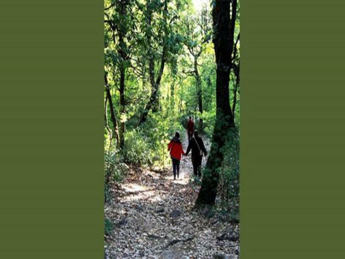 Jungle Lore Birding Lodge Nainital Extérieur photo