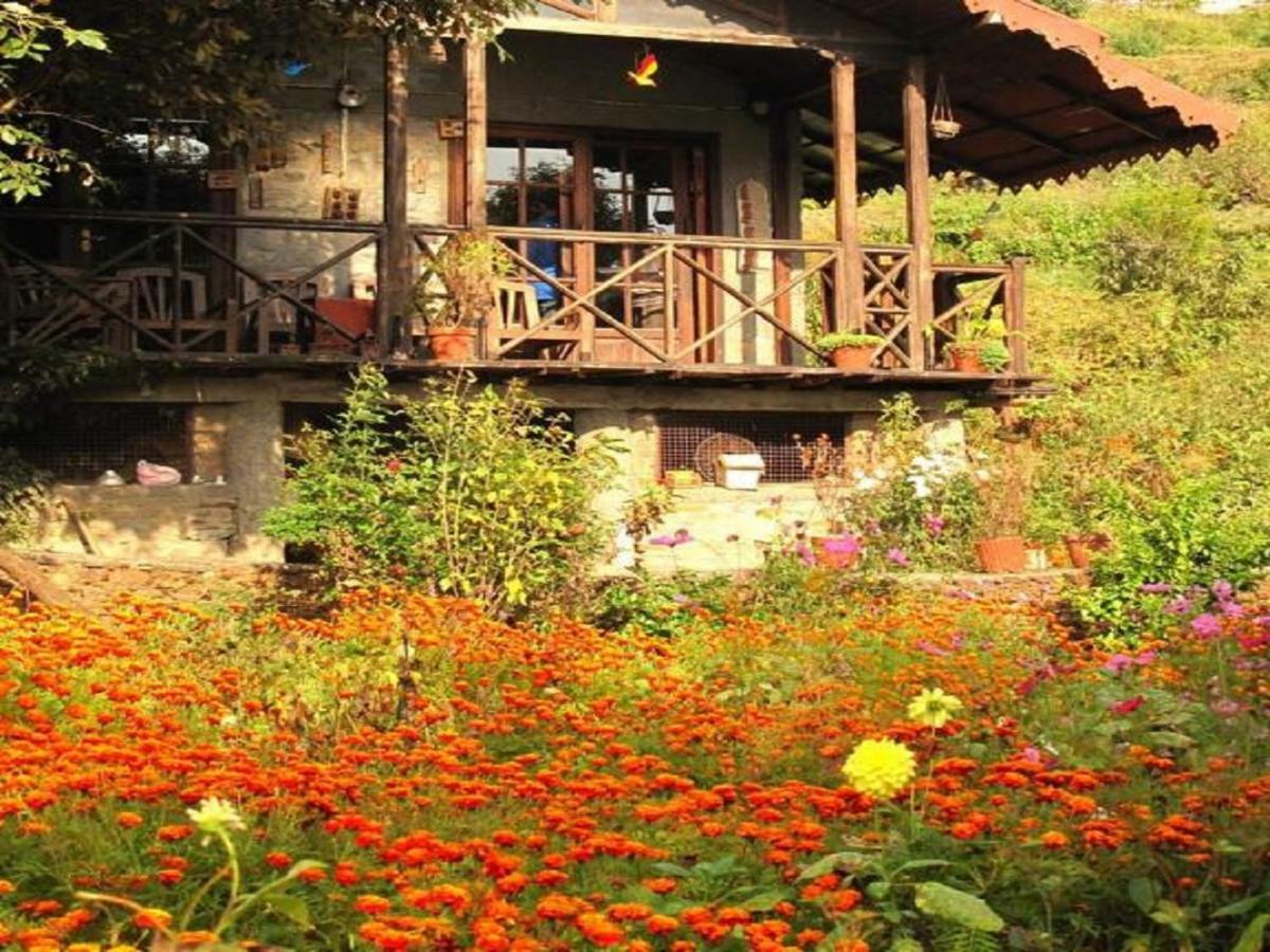 Jungle Lore Birding Lodge Nainital Extérieur photo